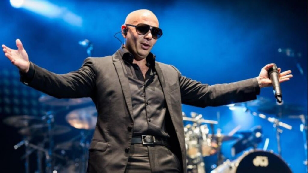 Pitbull Wife 2